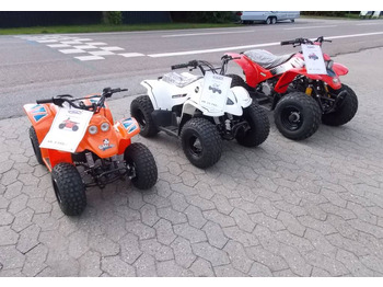 Side-by-side/ ATV